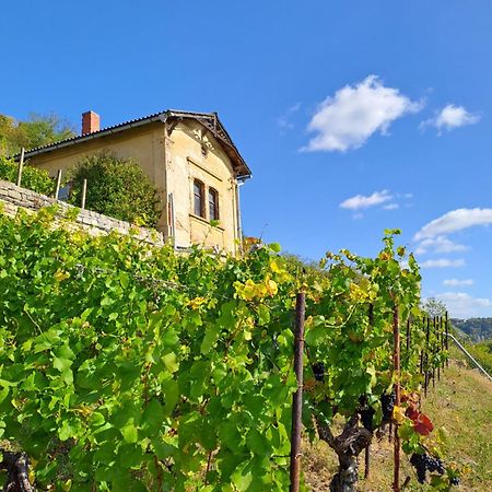 Ferienhaus Und Strausswirtschaft Im Weinberg Freyburg Exterior photo