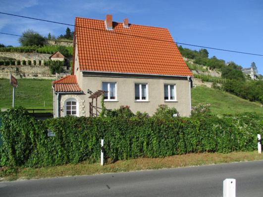 Ferienhaus Und Strausswirtschaft Im Weinberg Freyburg Exterior photo
